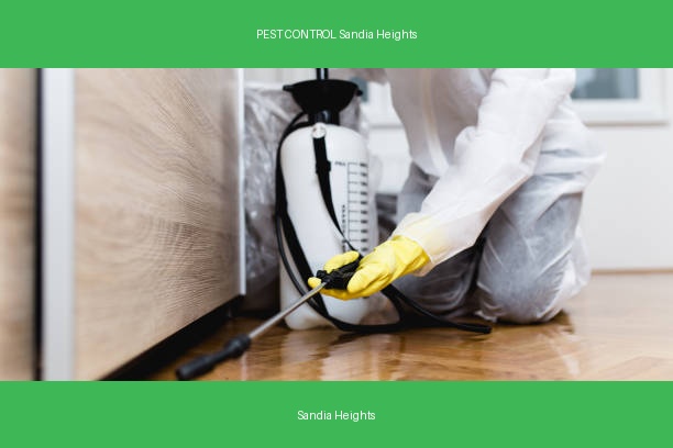 PEST CONTROL Sandia Heights